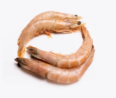 Crevettes 30P | Fruits de mer congelés BNF