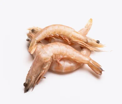 Crevettes 40P | Fruits de mer congelés BNF