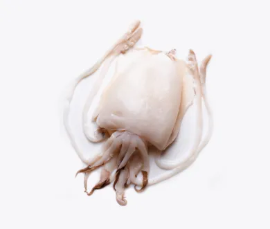 Seiche Moyenne Nettoyée | Fruits de mer congelés BNF